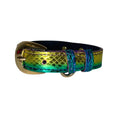 Load image into Gallery viewer, XS/S 7-14  Yellow/Green/Red Custom Snake Collar/Custom Gold Italian Hardware
