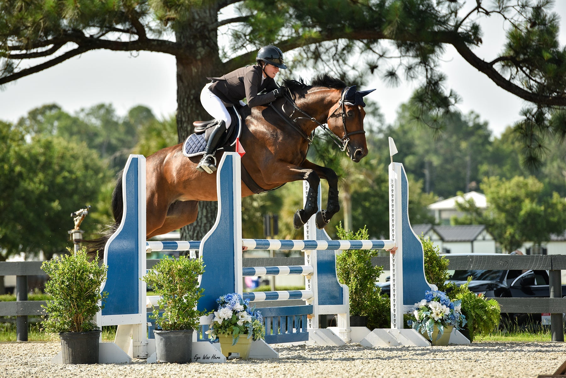 Jump Saddle Pad | Navy