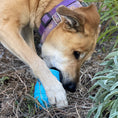 Load image into Gallery viewer, Ice Cream Cone Durable PUP-X Rubber eDispenser Chew Toy and Treat Dispenser

