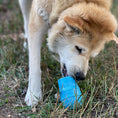 Load image into Gallery viewer, Ice Cream Cone Durable PUP-X Rubber eDispenser Chew Toy and Treat Dispenser
