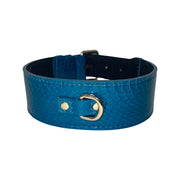 Dark Turquoise Classic Style Snake Collar With Classic Gold Hardware