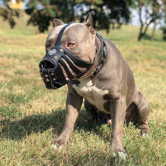 Aztec'' Dark Brown Basket Muzzle by Bestia Dog Gear