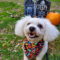 Load image into Gallery viewer, Trick N Treat Cooling Bandana - Southlake Paws
