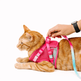 Load image into Gallery viewer, Stasia Cat Harness & Leash Set

