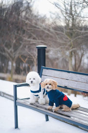 Heart to Heart Button-Up Cardigan Sweater 