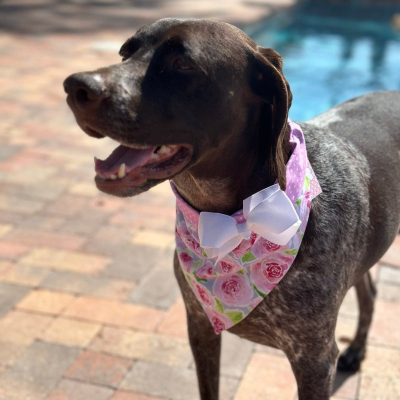 Rose Bandana Dog Collar With Bow - Southlake Paws
