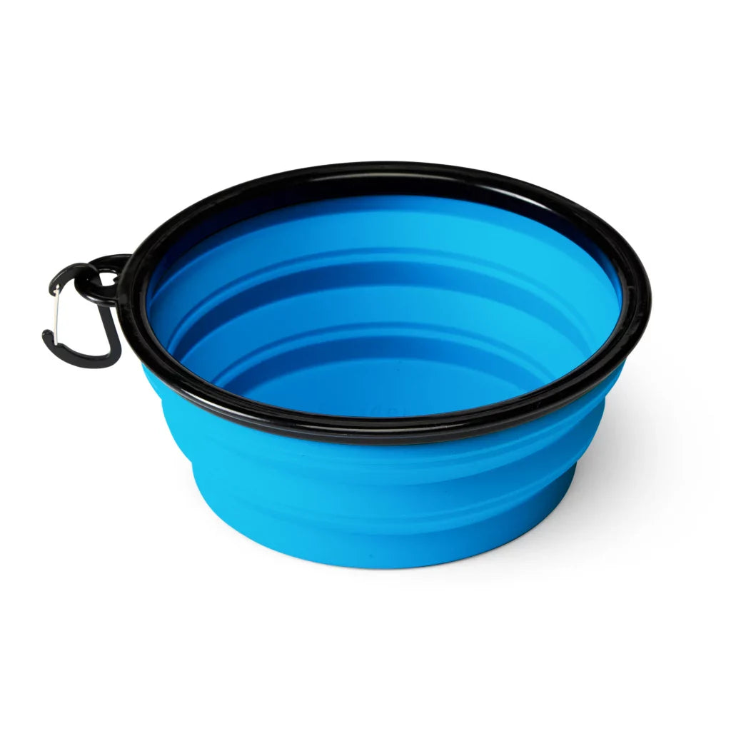 Barkday Hydration Bundle for Dogs product detail image for dog hydration