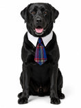 Load image into Gallery viewer, The Fall Tie Collection Gift Box
