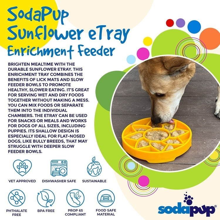 Sunflower eTray Shallow Slow Feeder Dog Bowl for Enrichment | USA Made