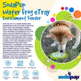 Load image into Gallery viewer, Water Frog eTray - Shallow Slow Feeder Dog Bowl for Enrichment | USA Made
