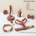 Load image into Gallery viewer, Dusty Pink Velvet Set
