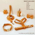 Load image into Gallery viewer, Orange Velvet Set
