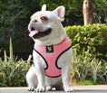 Load image into Gallery viewer, EcoBark Bubblegum Pink Dog Harness - Over-the-Head Dog Vest Halter for Small to Medium Dogs and Puppies
