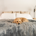Load image into Gallery viewer, PupProtector™ Short Fur Waterproof Throw Blanket - Charcoal Grey
