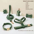 Load image into Gallery viewer, Forest Green Velvet Set
