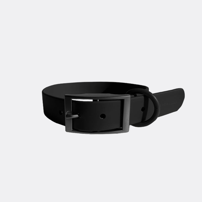 Everyday Collar - Southlake Paws