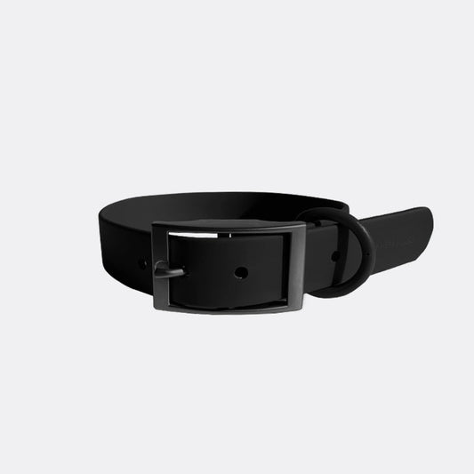 Everyday Collar - Southlake Paws