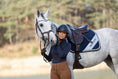 Load image into Gallery viewer, Blue Astra Saddle Pad
