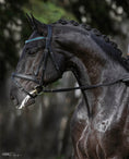 Load image into Gallery viewer, Teal Browband by Southlake Paws on a black horse, showcasing a sleek design and elegant detailing.
