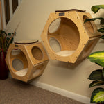 Armarkat Real Wood Wall Series: Set of Two Natural Wood Wall Tree Additions