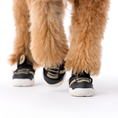 Load image into Gallery viewer, The Kai- Dog Sneaker
