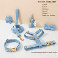 Load image into Gallery viewer, Blue Velvet Set
