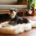 Load image into Gallery viewer, PupRug Faux Fur Orthopedic Dog Bed - Curve White with Brown Accents
