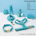 Load image into Gallery viewer, Turquoise Stone Velvet Set
