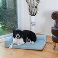 Load image into Gallery viewer, Armarkat Bolstered Pet Cushion D08A - Blue - Medium
