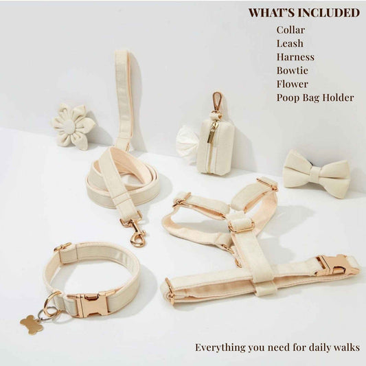 Milky White Velvet Set
