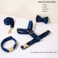 Load image into Gallery viewer, Dark Blue Velvet Set
