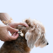 Daddy & Me on the Pickleball Court- Matching Accessories 