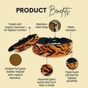 Tiger Sambboho dog collar (animal print collection)