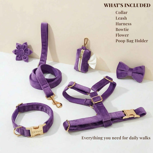Velvet Purple Set