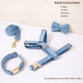 Load image into Gallery viewer, Blue Denim Set
