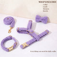 Load image into Gallery viewer, Teddy Purple Set

