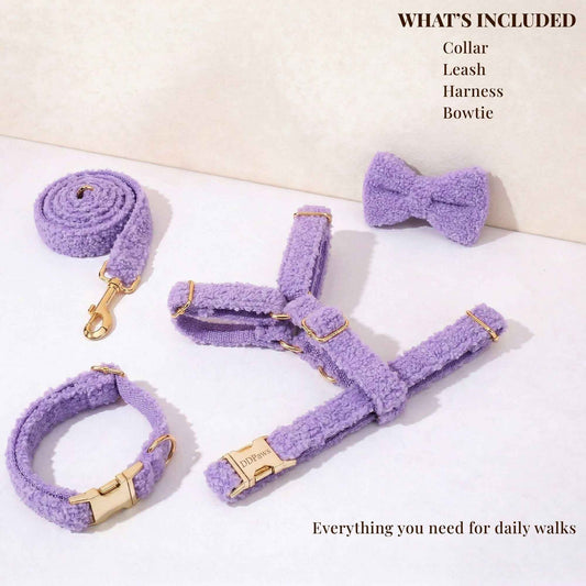Teddy Purple Set