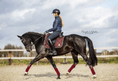 Load image into Gallery viewer, Burgundy Saddle Pad Set
