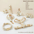 Load image into Gallery viewer, Ivory Gold Leaf Velvet Set
