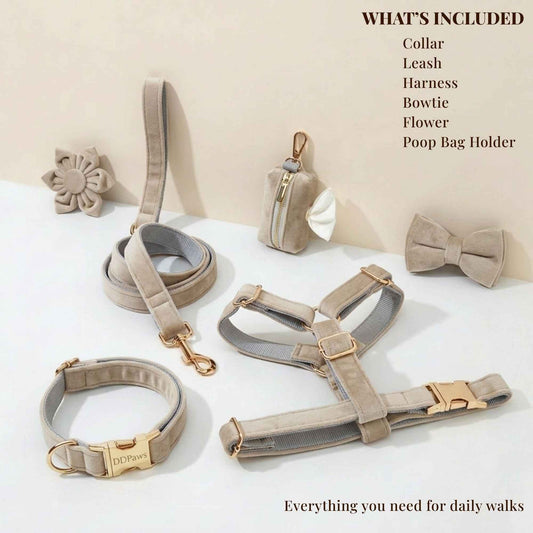 Light Grey Velvet Set