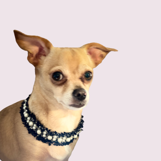Pearl and Tweed Collar - image 2