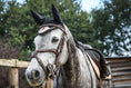 Load image into Gallery viewer, Rose Quartz Fly Hat by Southlake Paws, worn by a gray horse, featuring mesh ears and a stylish design.
