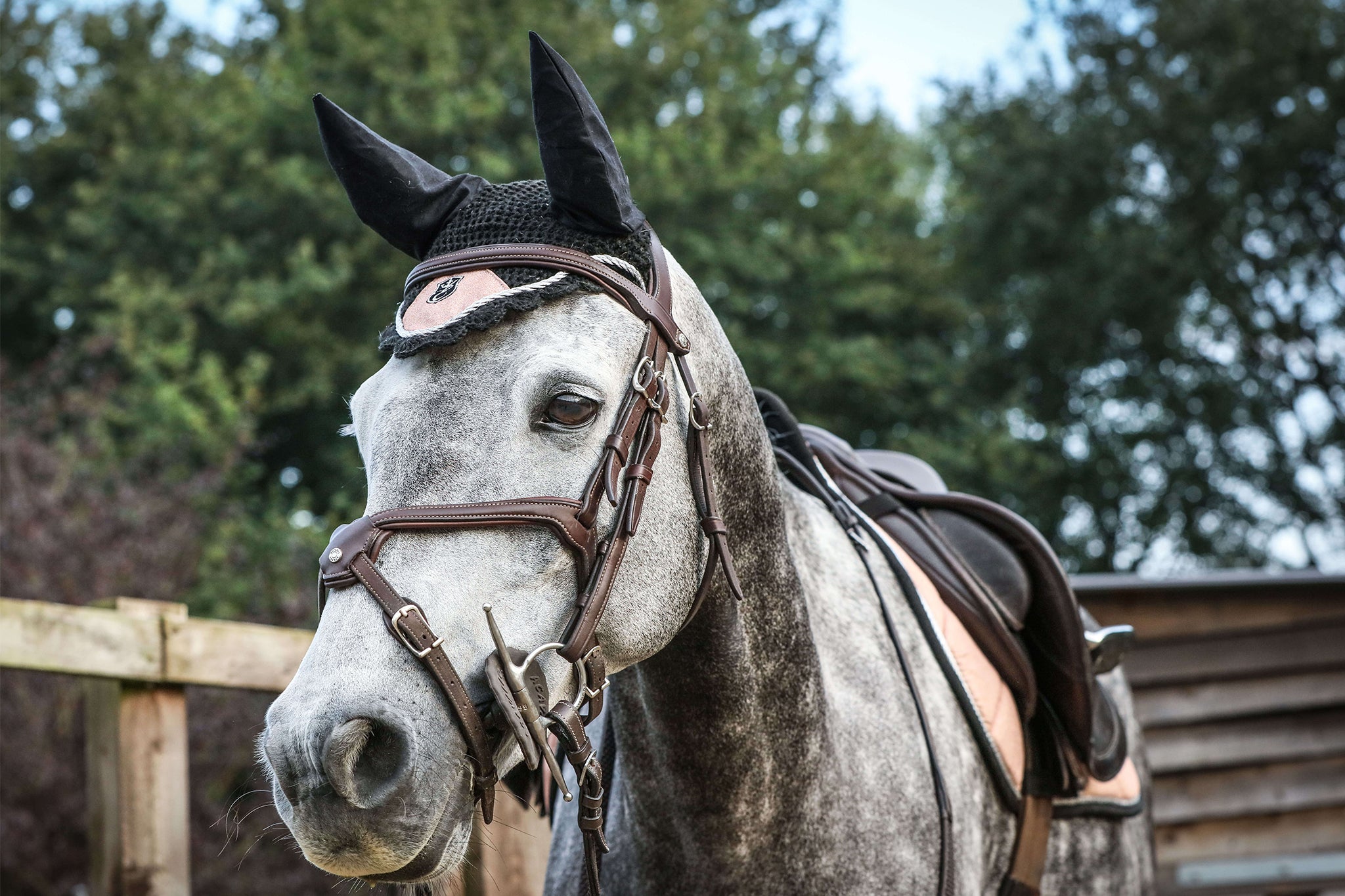 Rose Quartz Fly Hat by Southlake Paws, worn by a gray horse, featuring mesh ears and a stylish design.