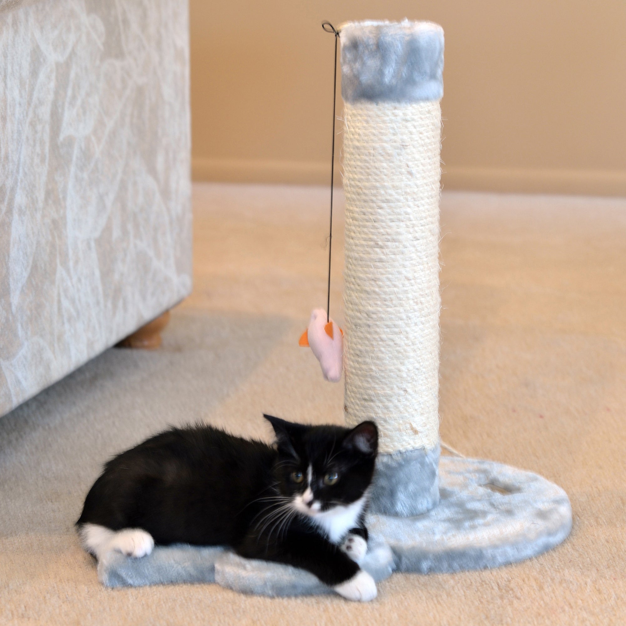 Armarkat Cat Scratching Post - Silver/Gray