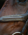 Load image into Gallery viewer, Gold Accented Figure 8 Bridle with Gold Browband
