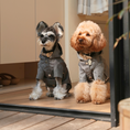 Load image into Gallery viewer, BOWERY RAINCOAT - GRAY
