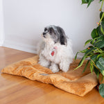 Armarkat M01CZS-M Medium Pet Bed Mat  Dog Crate Soft Pad With Poly Fill CushionEarth Brown