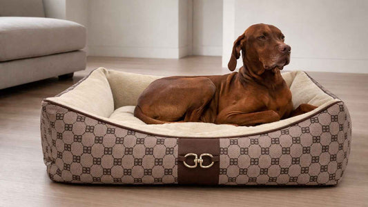 Bowsers Signature Scoop Bolster Dog Bed - Easy-Entry Bolster Support