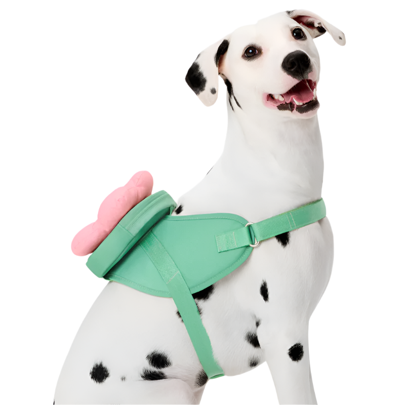 Flora Pet Harness & Backpack 3-in-1 Set - Southlake Paws