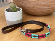 Pink and Turquoise Dog Leashe 